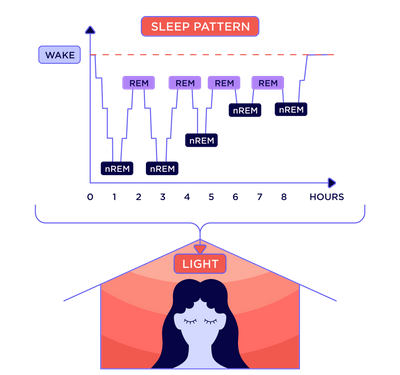 Why We Sleep second chapter
